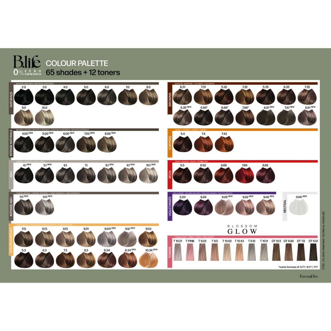 B.Life Color